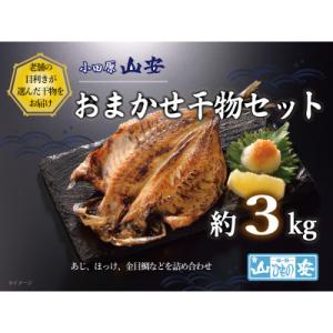 ふるさと納税 小田原市 【小田原　山安】おまかせ干物セット　約3kg