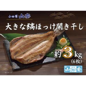 ふるさと納税 小田原市 【小田原　山安】大きな縞ほっけ開き干し　約3kg(6枚)