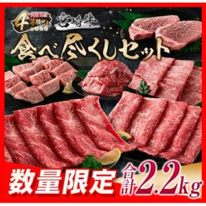 ふるさと納税 日南市 ≪数量限定≫宮崎牛食べ尽くしセット(合計2.2kg)(日南市)