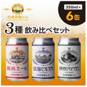 ふるさと納税 長浜市 長濱浪漫ビール　定番3種　6本ビールセット