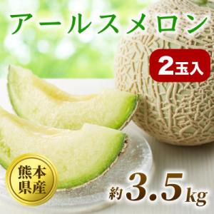 ふるさと納税 八代市 アールスメロン 2玉入 約3.5kg【熊本県産】