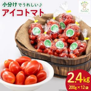 ふるさと納税 島原市 【小分けでうれしい♪】アイコトマト2.4kg(200g×12袋)