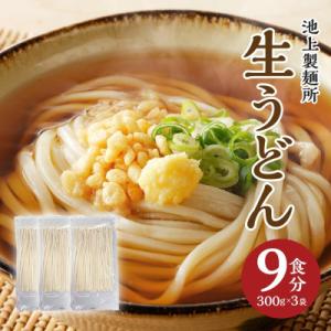 本場讃岐うどん 生うどん9食セット(鎌田だし醤油付)