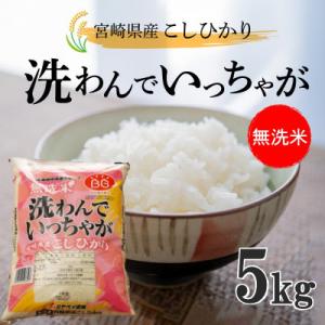 ふるさと納税 木城町 【令和5年産】無洗米コシヒカリ　洗わんでいっちゃが　5kg