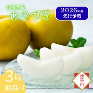 船橋の梨 「あきづき」 3kg 【贈答用】なし 令和8年9月上中旬より順次発送 甘い旬の梨を産地直送