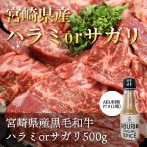 ふるさと納税 美郷町 宮崎県産黒毛和牛ハラミorサガリ焼肉500g(ABURI粉1瓶付き)