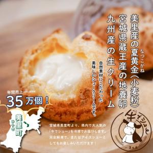 牛でシュー6個(カスタード)　【べこでシュー　素材にこだわった美味しいシュークリームです】