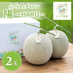 ふるさと納税 富良野市 【2026年発送】ふらのメロン「陽 〜HARU〜」大玉(2.3kg以上)×2...