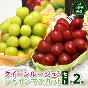 ふるさと納税 中野市 JA中野市直送!長野県オリジナルぶどう「クイーンルージュ(R)」とシャインマス...