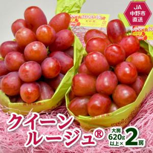 【2026年発送】JA中野市産地直送!クイーンルージュ(R)大房620g以上×2房(1.2kg以上)