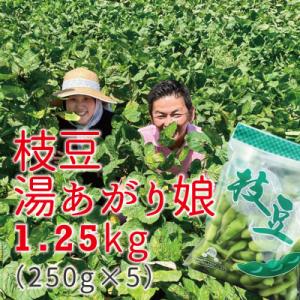 ふるさと納税 掛川市 【特別栽培】枝豆(えだまめ)茶豆風味で大人気の「湯あがり娘」　食べやすい小分け...