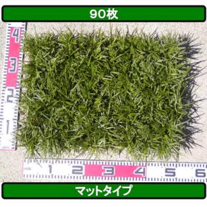 ふるさと納税 香美市 タマリュウ(玉竜) 90枚...の商品画像