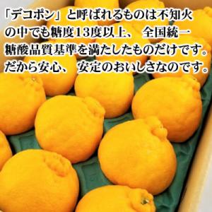 ふるさと納税 広川町 【秀品】和歌山有田のデコ...の詳細画像1