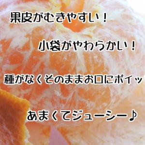 ふるさと納税 広川町 【秀品】和歌山有田のデコ...の詳細画像2