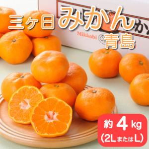 ふるさと納税 浜松市 静岡三ヶ日みかん青島約4kg(2L または L)