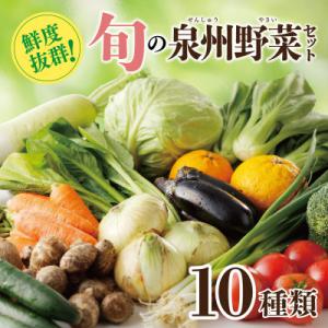 ふるさと納税 泉佐野市 新鮮 野菜セット 詰め合わせ 10種類 国産 旬 お試し おまかせ お楽しみ...