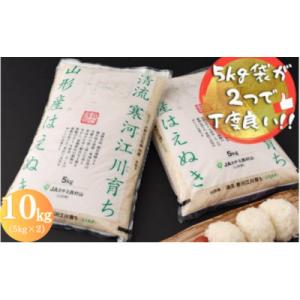 ふるさと納税 寒河江市 【令和5年産】清流寒河江川育ち 山形産はえぬき10kg(5kg×2袋)