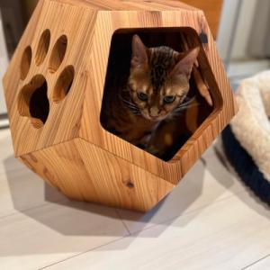 ふるさと納税 魚津市 ねこベースの詳細画像3