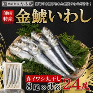 ふるさと納税 南知多町 いわし丸干し 24尾(8尾×3パック) 冷凍 小分け カネ成の金鯱いわし 干...