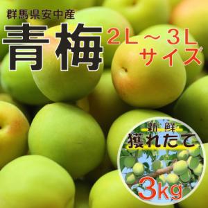 ふるさと納税 安中市 旬をお届け!青梅【2L〜3Lサイズ(3kg)】