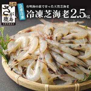 ふるさと納税 鹿島市 冷凍芝エビ(真エビ)2.5kg(500g×5...