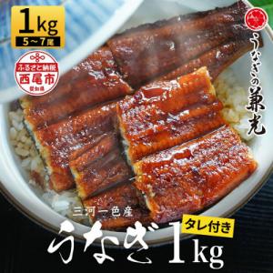 ふるさと納税 西尾市 大満足1kg愛知県三河一色...の商品画像