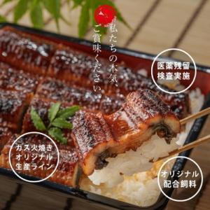 ふるさと納税 西尾市 大満足1kg愛知県三河一...の詳細画像1