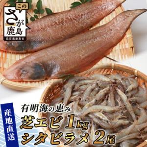 ふるさと納税 鹿島市 冷凍芝エビ(真エビ)1kg(500g×2パック)&amp;有明海産 シタビラメ約150...