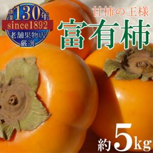 ふるさと納税 三豊市 甘柿の王様!富有柿　(約5kg)
