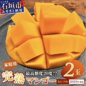 ふるさと納税 石垣市 【先行受付】石垣島マンゴー 約1kg 【家庭用】