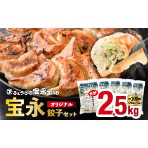 ふるさと納税 苫小牧市 宝永オリジナル餃子セット【宝永餃子500g×5袋】