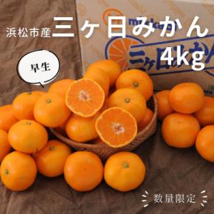【2026年先行受付】静岡三ヶ日みかん 約4kg MまたはLサイズ【早生品種】