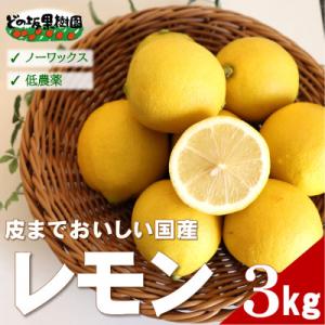 【ノーワックス】国産 紀州 レモン 約3kg(サイズおまかせ)