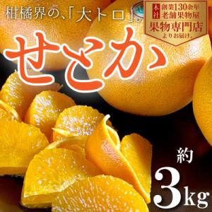 ふるさと納税 観音寺市 【2025年2月上旬より発送】柑橘界の大トロ!せとか　約3kg