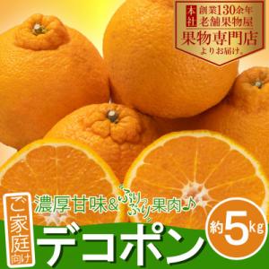 【2027年3月中旬より順次発送】ご家庭向け!濃厚甘味&ぷりっぷり果肉♪「デコポン」約5kg