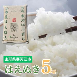 【令和7年産】清流寒河江川育ち 山形産はえぬき　5kg×1袋