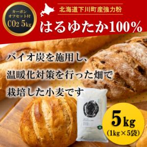 北海道下川町産はるゆたか100%(強力粉) バイオ炭施用 カーボン・オフセット付 5kg