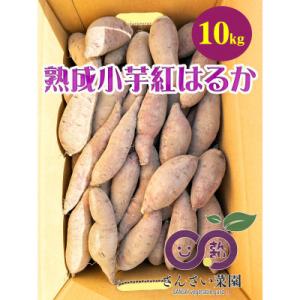 下妻市産　熟成小芋さつまいも　紅はるか　【訳アリ】10kg