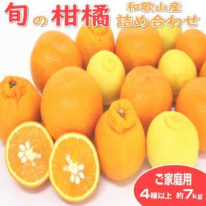 ふるさと納税 印南町 柑橘詰め合わせセット 家庭用4種以上 約7kg 和歌山産