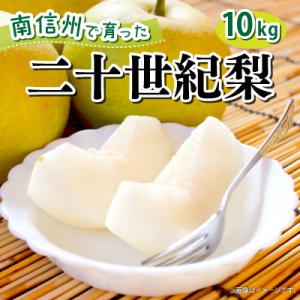 【9月下旬より順次発送予定】【豊丘村】青梨の代表格 南信州産 二十世紀梨 約10kg(箱入)