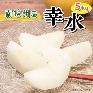 【豊丘村】8月中旬より順次発送! 南信州で育った幸水 約5kg(箱入)