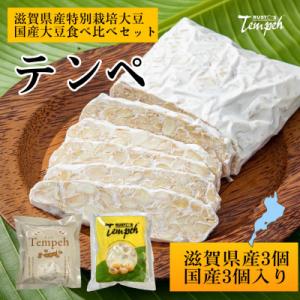 ふるさと納税 大津市 ルストテンペ(滋賀県産特別...の商品画像