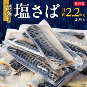 ふるさと納税 館山市 【訳あり】塩さば 20切れ 約2.2kg(個包装)