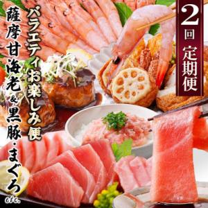 定期便2回配送　お楽しみバラエティ定期便(鹿児島県産黒豚・鮪etc) DD-6008