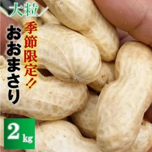 【先行予約】2026年8月下旬より順次発送【訳あり】安西農園の大粒生落花生「おおまさり」 2kg