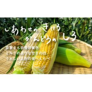 ふるさと納税 栗山町 【2024年8月下旬より順次発送】大地の恵み「とうもろこし2色セット」10本