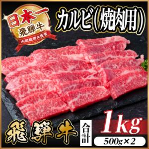 飛騨牛 厳選カルビ(焼肉・BBQ用) 1kg(500g×2) 小分け 黒毛和牛 A4～A5等級