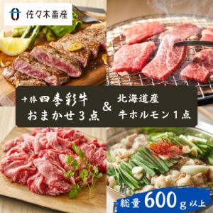 ふるさと納税 帯広市 【総量600g以上】十勝四季彩牛(お任せ3点)&amp;北海道産牛ホルモン  詰め合わ...