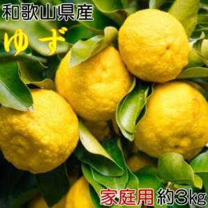 ふるさと納税 紀の川市 和歌山県産柚子約3kg (ご家庭用)(紀の川市)