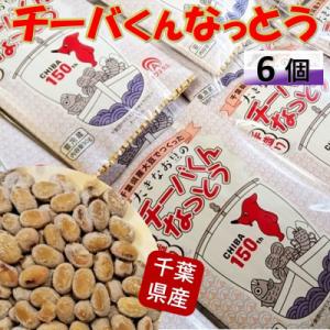 ふるさと納税 館山市 千葉県誕生150周年記念「大きなお豆のチーバくんなっとう」90g×6個入り
